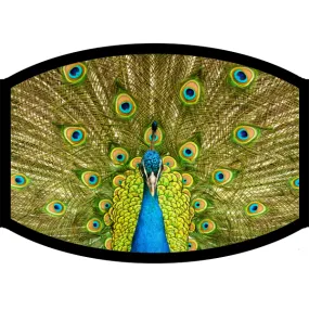 Face Mask - Peacock